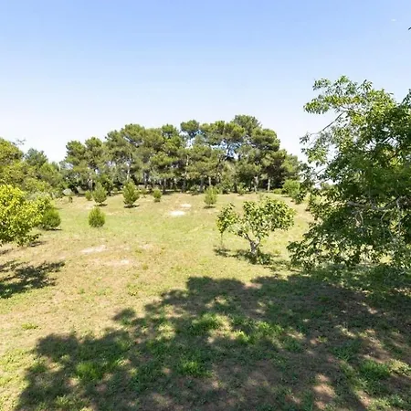 Il Trullo Dg Villa *