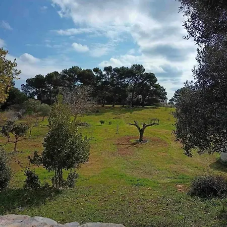 Il Trullo Dg * Martina Franca