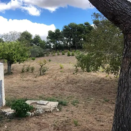 Il Trullo Dg